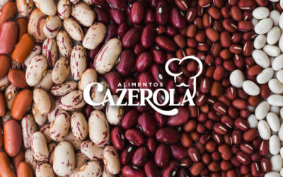 Conoce los diferentes tipos de frijoles que existen.