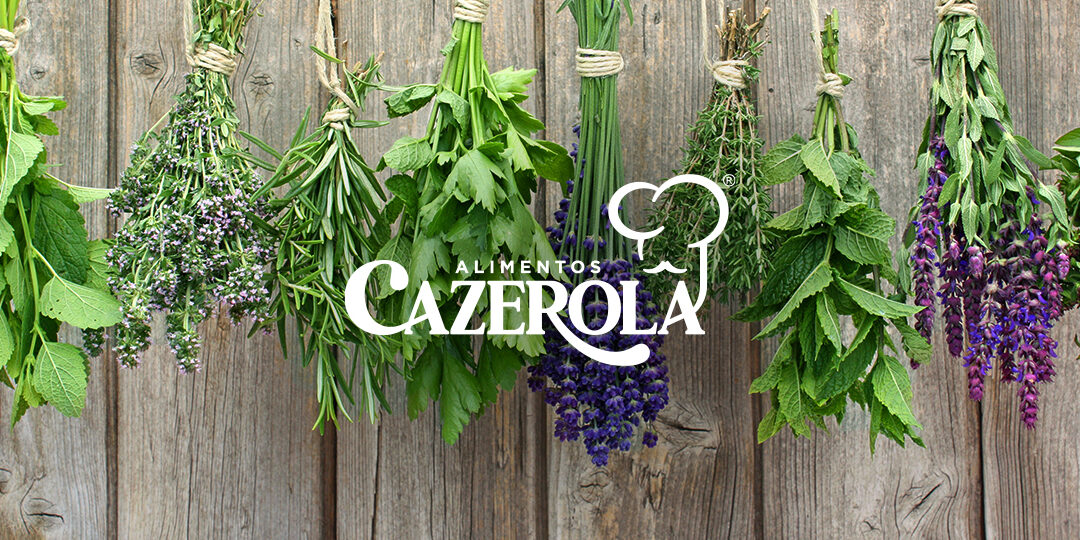 Las hierbas y especias en la gastronomía mexicana