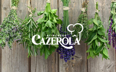 Las hierbas y especias en la gastronomía mexicana