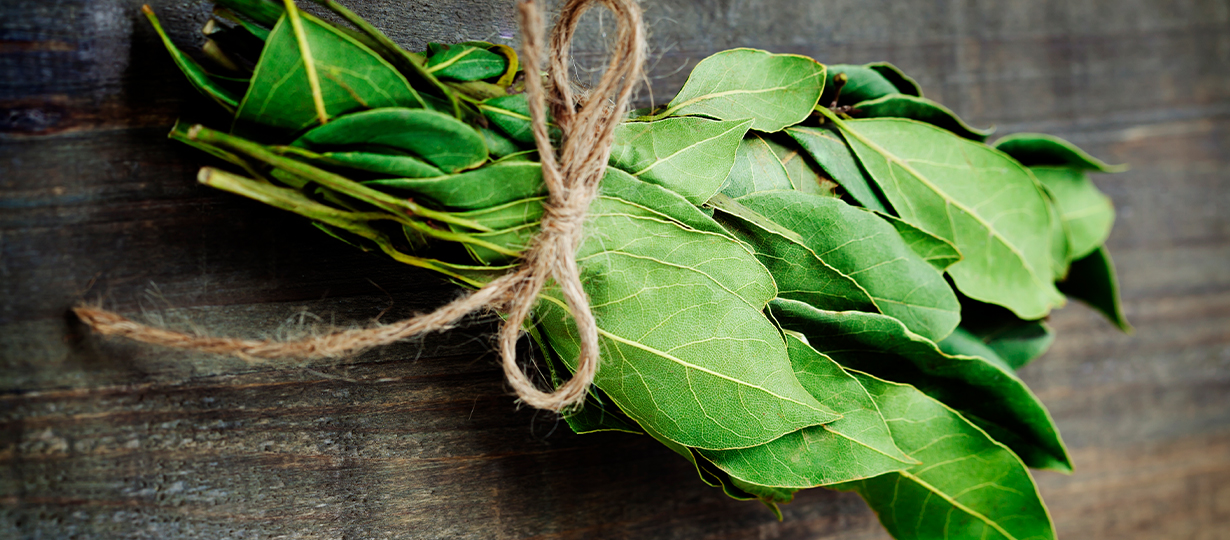 hoja-de-laurel